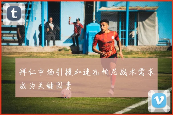 拜仁中场引援加速孔帕尼战术需求成为关键因素